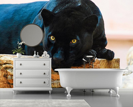 Взгляд пантеры в интерьере ванной