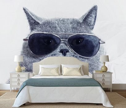 Кот ученый в интерьере спальни