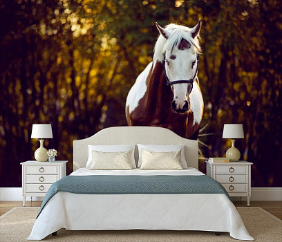 Пегий конь в интерьере спальни
