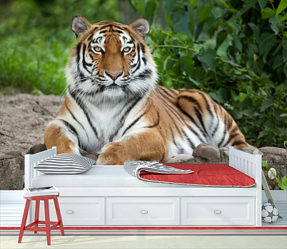 Тигр красавец в интерьере детской комнаты мальчика