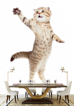 Игривый котик в интерьере кухни с большим столом