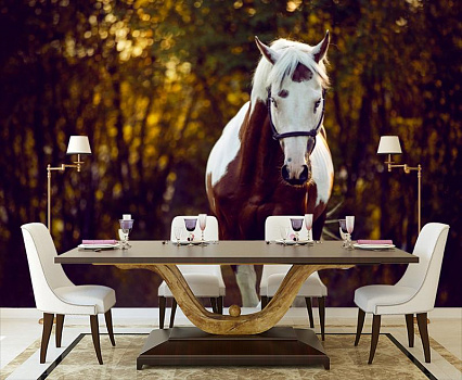 Пегий конь в интерьере кухни с большим столом