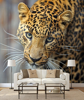 Леопард позер в интерьере гостиной с диваном