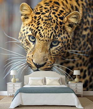 Леопард позер в интерьере спальни
