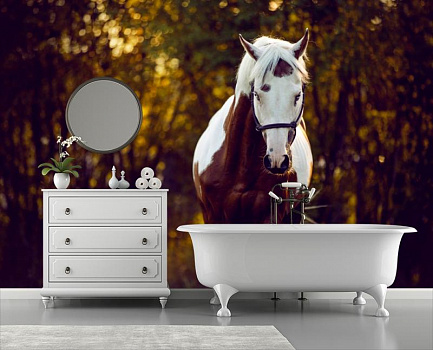 Пегий конь в интерьере ванной